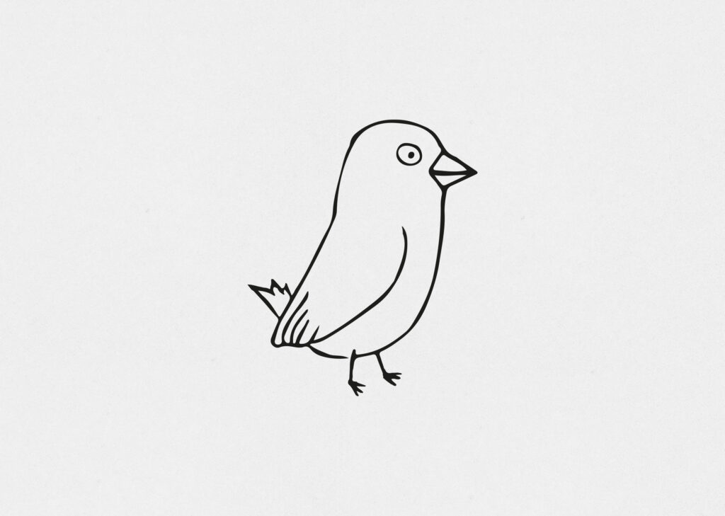 Screen-Base-amsel